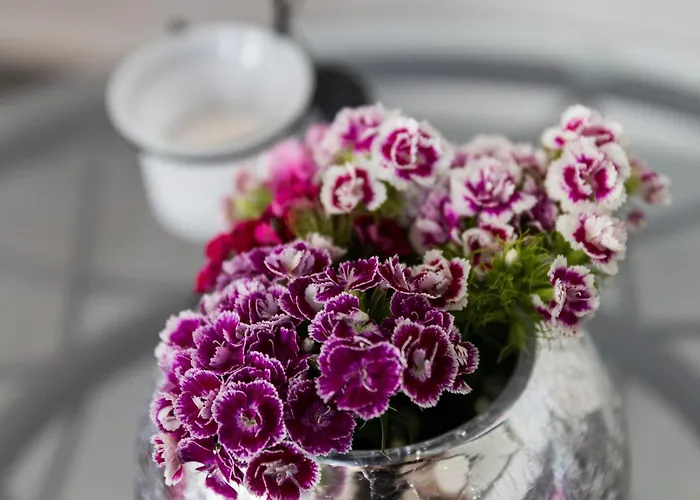 South Side - With View 公寓 杜布罗夫尼克