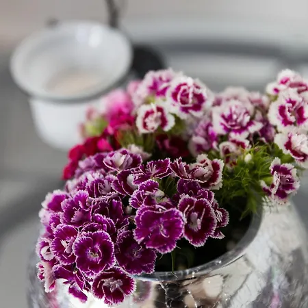 South Side - With View アパート ドゥブロブニク